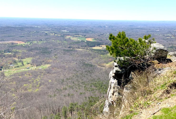 Pilot Mountain Yadkin Valley Overview