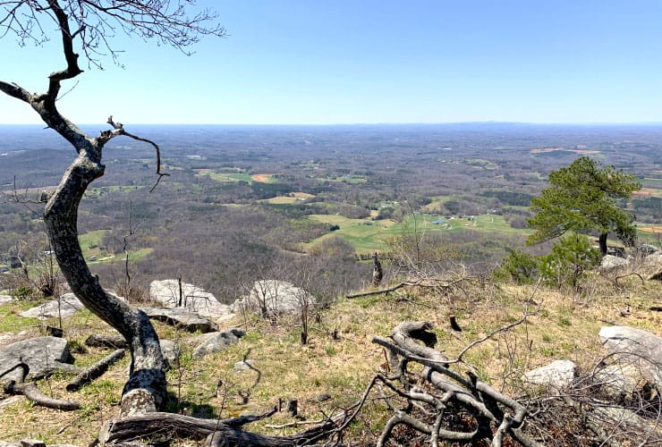 Yadkin Valley Overview
