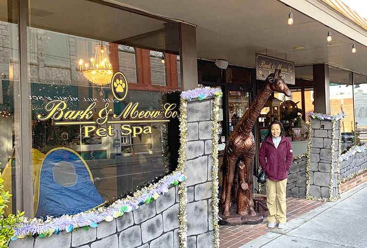 Bark & Meow Pet Spa in Downtown Mount Airy