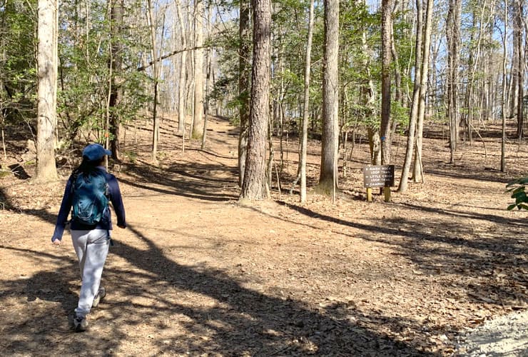 Y on the Raven Rock Loop Trail
