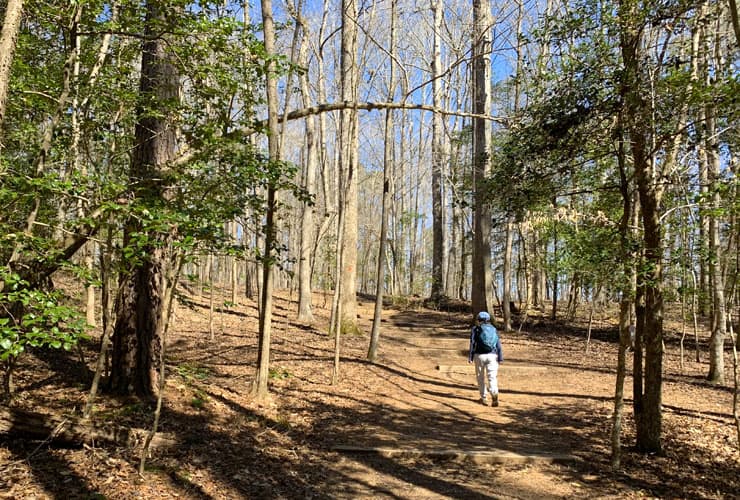 Raven Rock Loop Trail Path