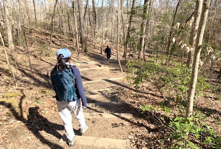 Wooden Steps on the Raven Rock Loop Trail