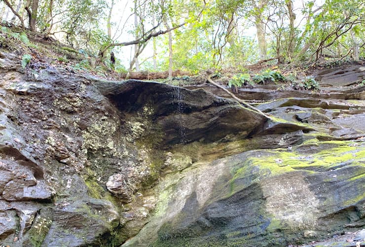 Weeping Water at Raven Rock State Park