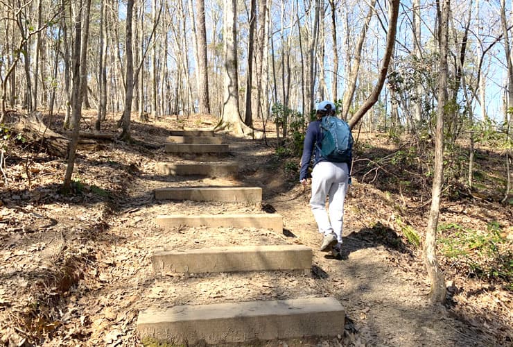 Stair Steps on the Loop Trail