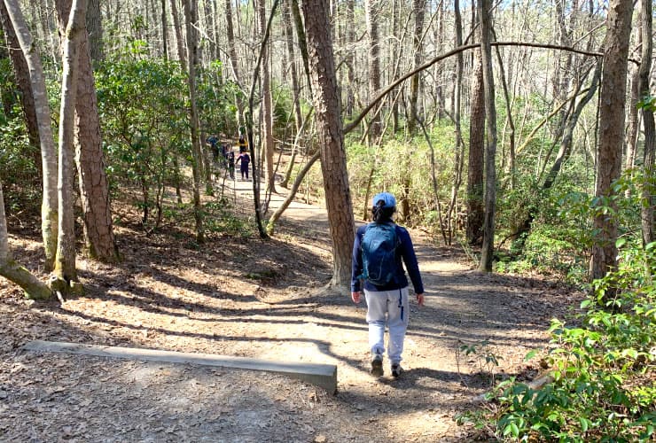 Loop Trail Path