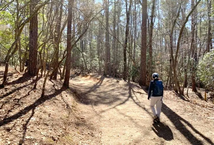 Loop Trail Morning Shadows