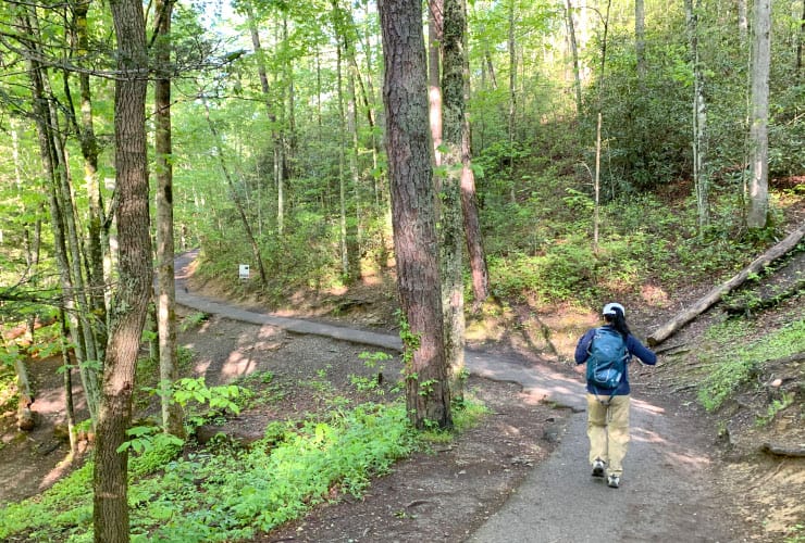 Laurel Falls Hike Smoky Mountains