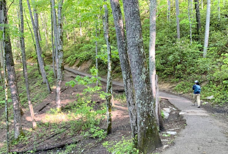 Great Smoky Mountains Hiking Trails Laurel Falls