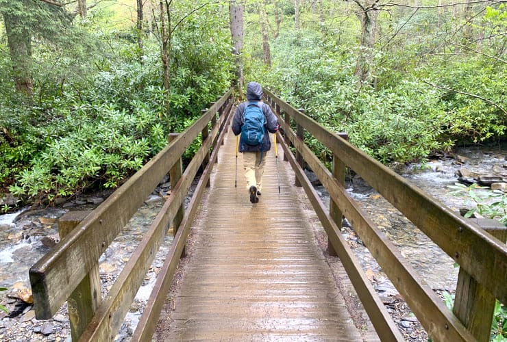 Alum Cave Bluffs Trail Bridge