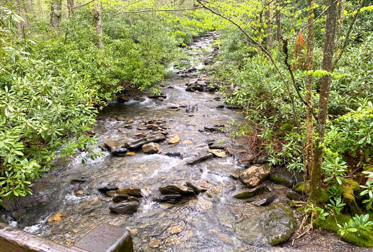 Alum Cave Creek Smoky Mountains