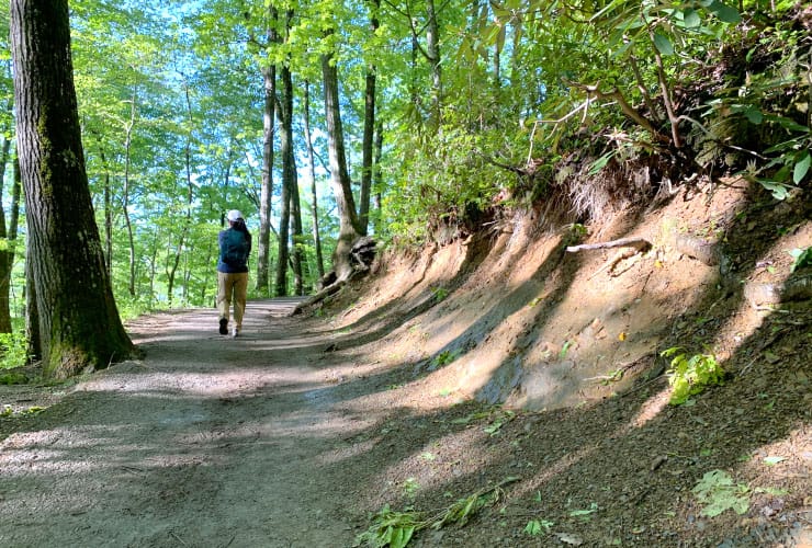 01a_04_great_smoky_mountains_hiking_trails_laurel_falls_trail