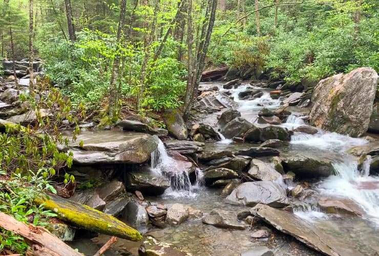 Alum Cave Bluffs Trail Cascades Smoky Mountains