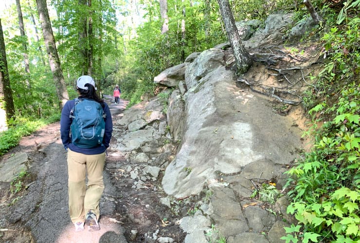 Great Smoky Mountains Hiking Trails Rock Clusters