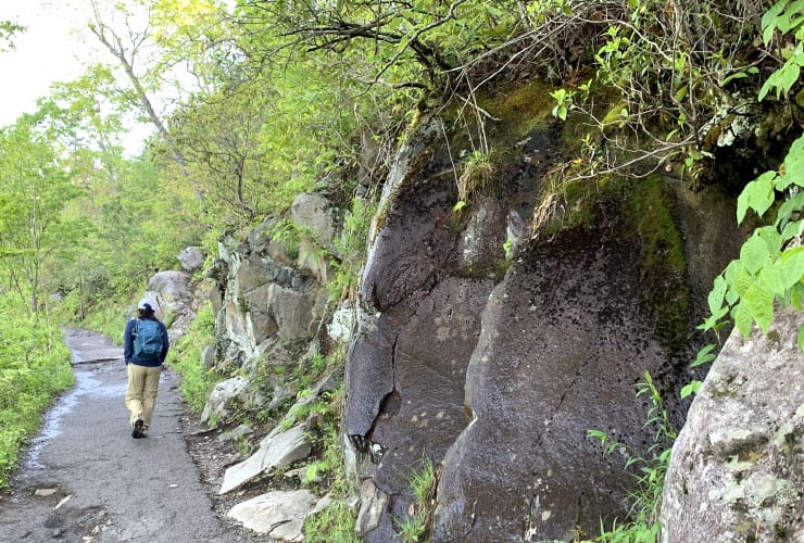 Great Smoky Mountains Hiking Trails Weeping Rocks