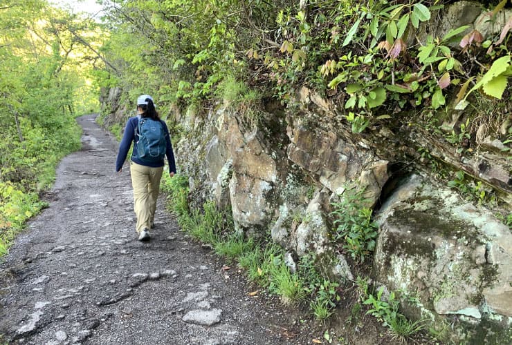 Laurel Falls Trail Rock Walls