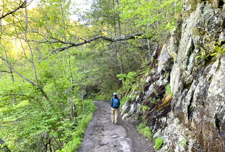 01c_04_great_smoky_mountains_hiking_trails_laurel_falls_trail_rock_faces