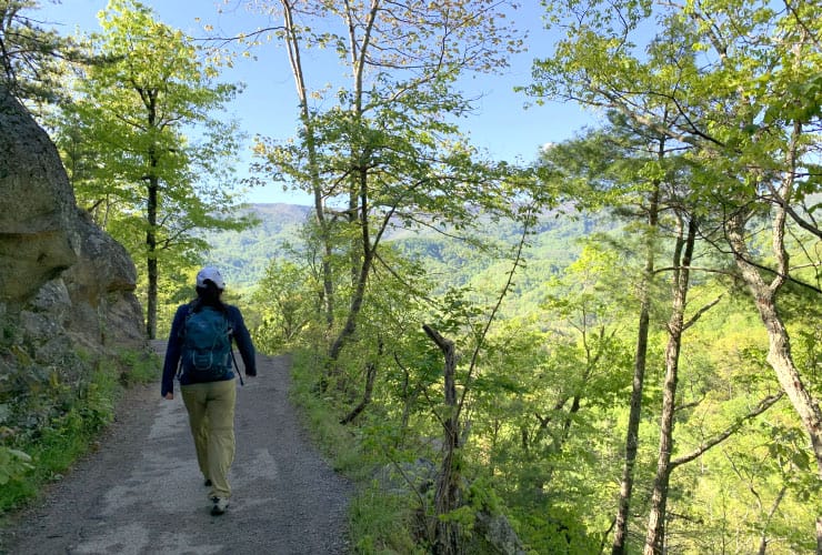 Great Smoky Mountains Hiking Trails View