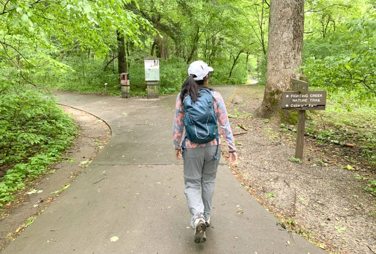 Great Smoky Mountains Hiking Trails Cove Mountain