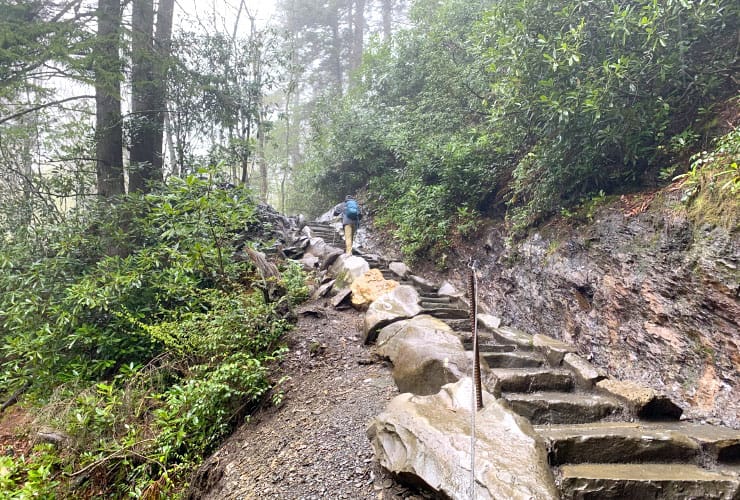 Alum Cave Bluffs Trail Stone Stairs