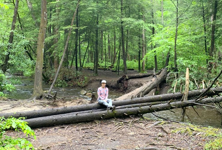 Great Smoky Mountains Hiking Trails Cove Mountain Trail