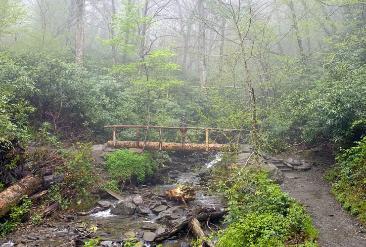 Alum Cave Bluffs Trail Bridge