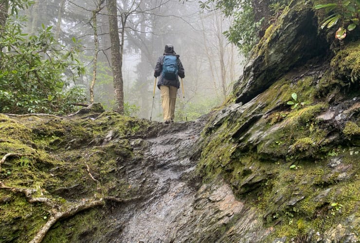 Alum Cave Bluffs Trail Steep Rock Path