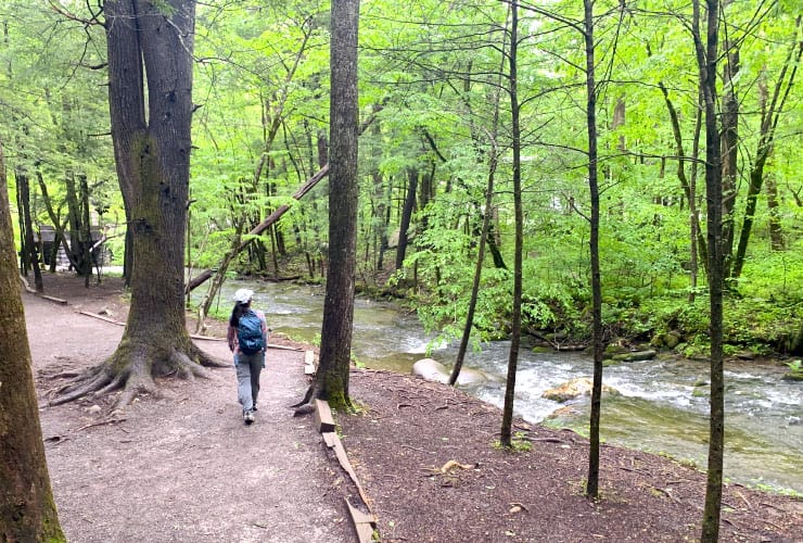 GSMNP Cove Mountain Trail