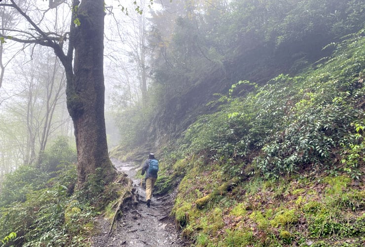Narrow Path on the Alum Cave Bluffs Trail
