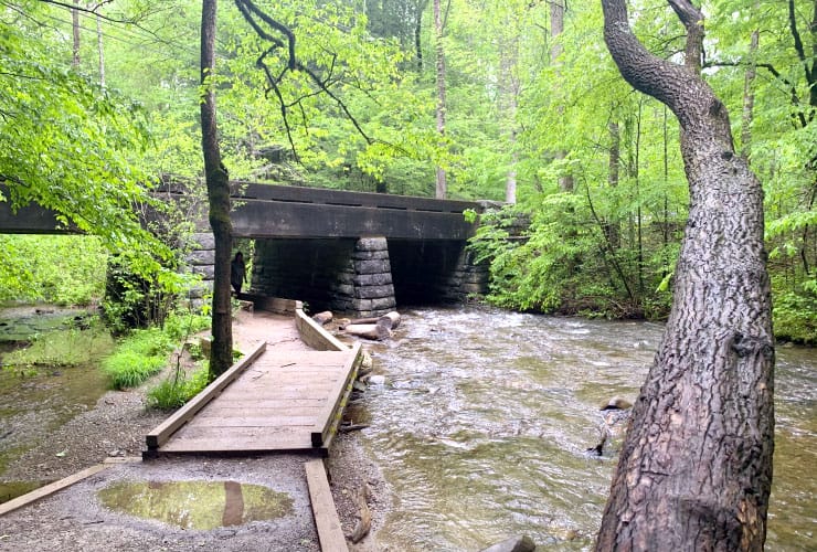 Cove Mountain Trail Smoky Mountains