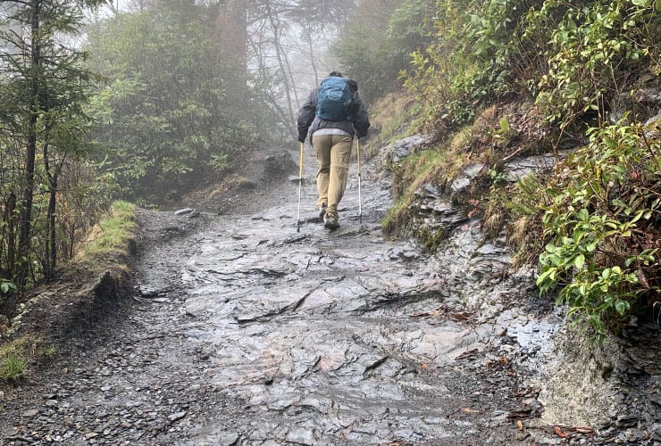 Wet Stone Path Alum Cave Bluffs Trail