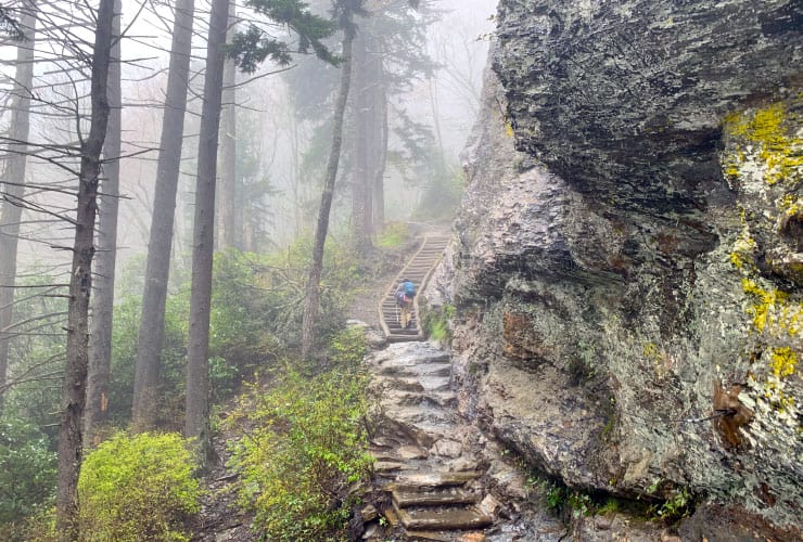 03c_03_rock_stairs_alum_cave_bluffs_trail