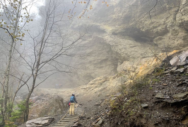Stairs Up to the Alum Cave Bluffs