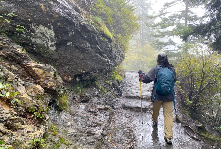 Rock Path Alum Cave Bluffs Trail