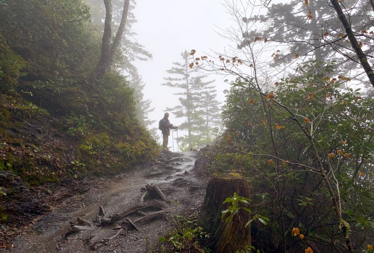04c_03_misty_view_alum_cave_bluffs_trail