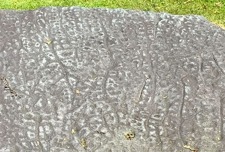 Detailed View of the Judaculla Rock