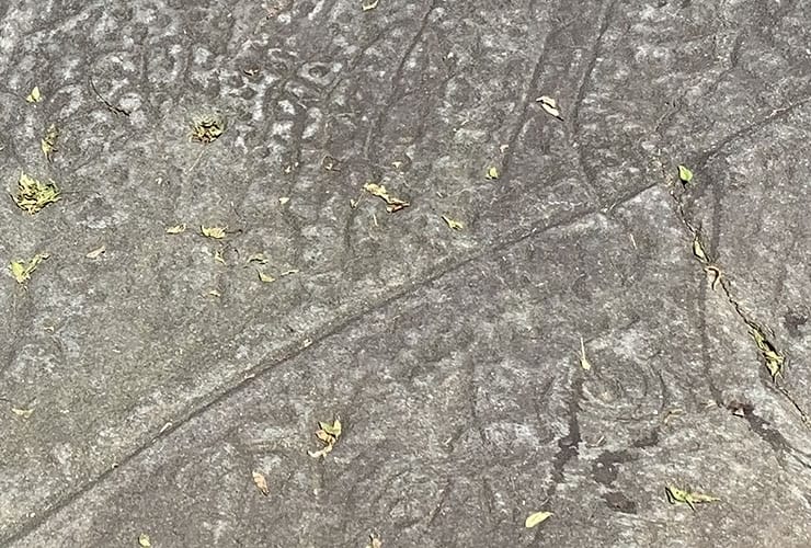 Close-up View of designs on the Cherokee Judaculla Rock
