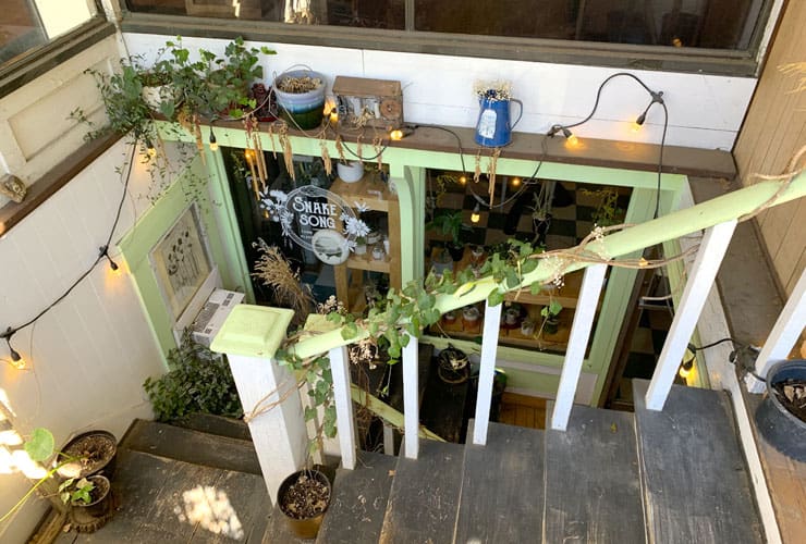 Downtown Sylva Snake Song Florists