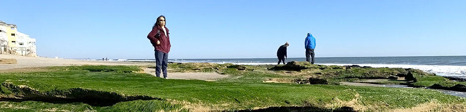 The GloveTrotters at Coquina Outcrop Kure Beach North Carolina