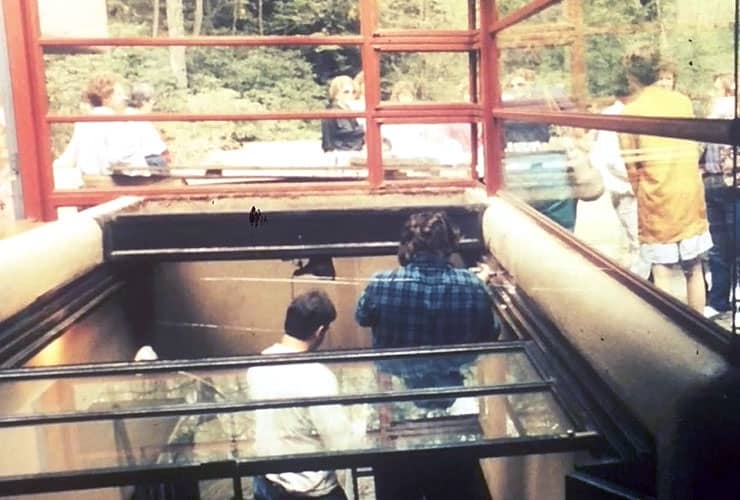 Fallingwater Restoration