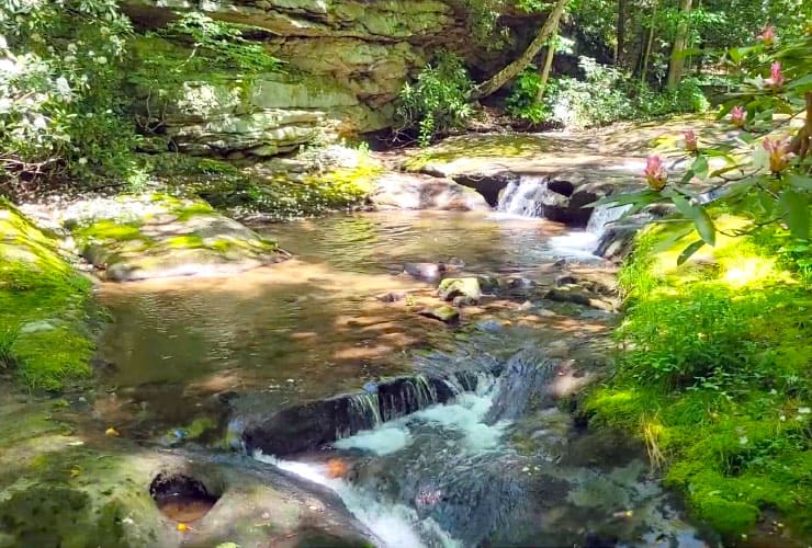 Bear Run Stream