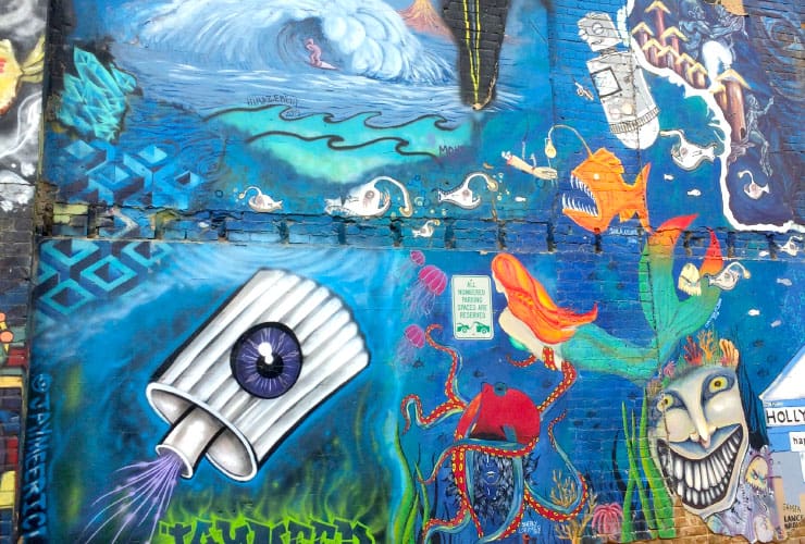 Downtown Boise Idaho Ocean Eye