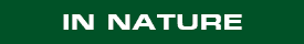 In Nature Category Link