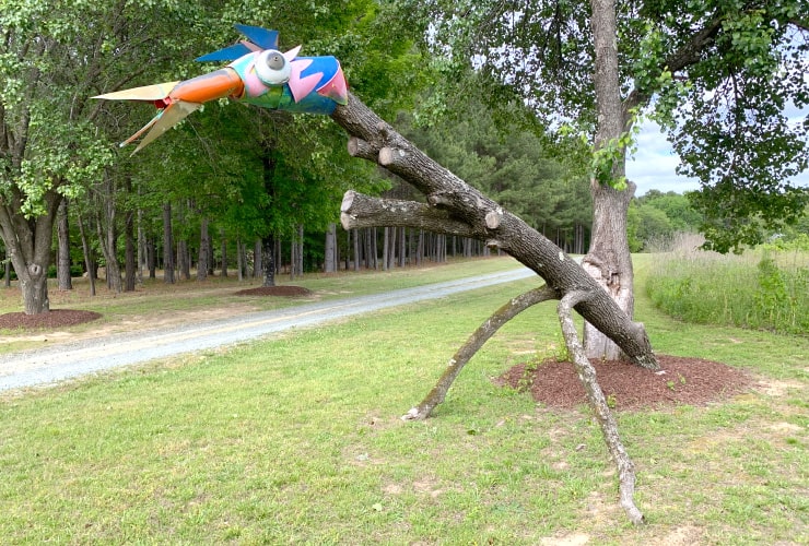 NC Roadside Attraction in Nature Carrboro Tree Bug