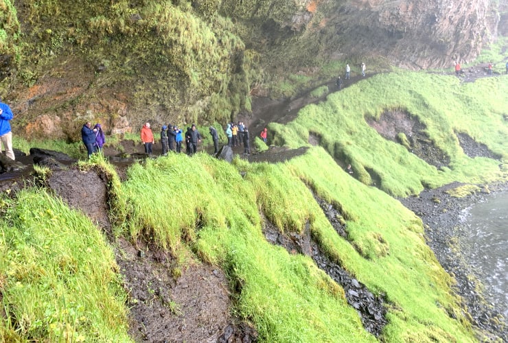 Seljalandsfoss Moss