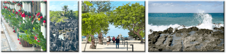 Grand Cayman Visit