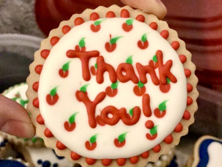 example of royal icing with color bleed