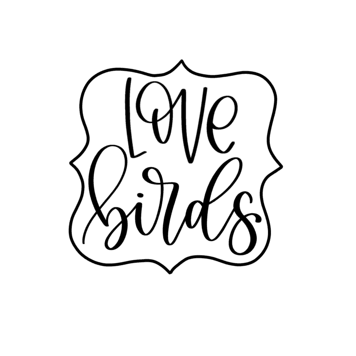 custom love birds lettering