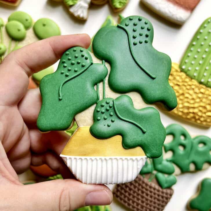 elephant ear Cookies decorated with royal icing