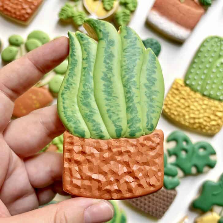 snake plant Cookies decorated with royal icing
