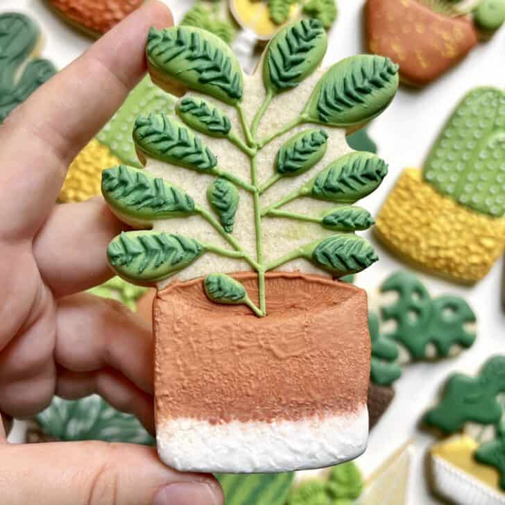 ficus Cookies decorated with royal icing